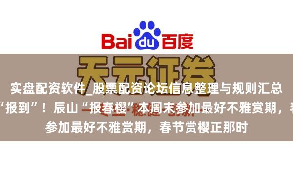 实盘配资软件_股票配资论坛信息整理与规则汇总 粉色纵容提前“报到”！辰山“报春樱”本周末参加最好不雅赏期，春节赏樱正那时